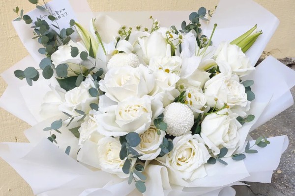 白色玫瑰的花语，寓意纯洁、浪漫等