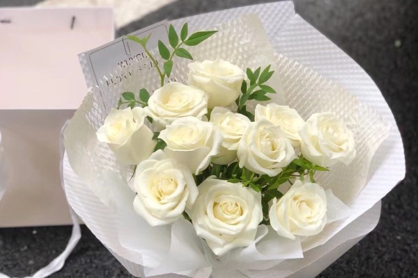 白色玫瑰的花语，寓意纯洁、浪漫等