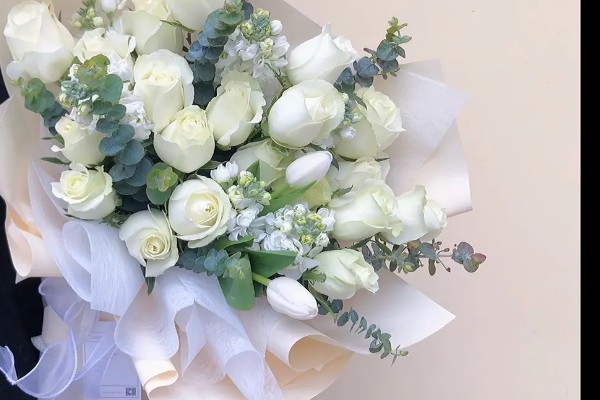 白色玫瑰的花语，寓意纯洁、浪漫等