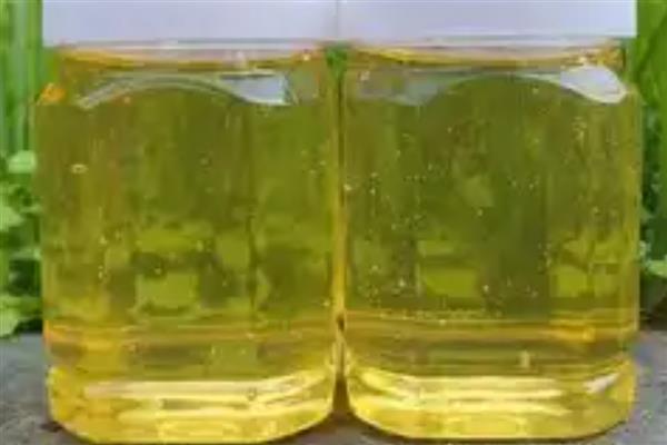 橙花蜜简介,是蜜蜂采集橙树花蜜酿制而成的