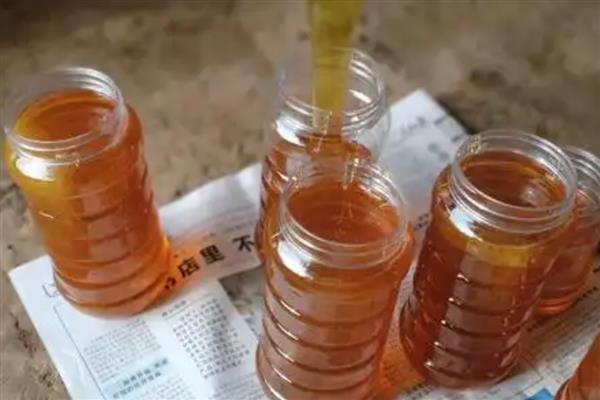 橙花蜜简介,是蜜蜂采集橙树花蜜酿制而成的