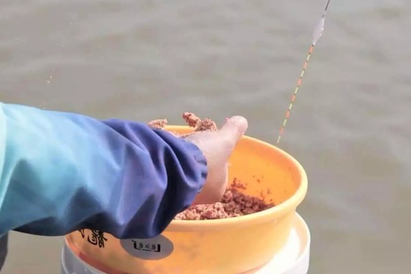 晚上能不能钓罗非鱼，适合将水草多、石头多的地方当作钓位