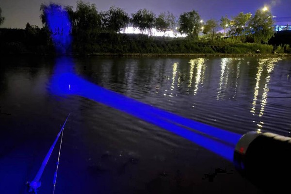 晚上能不能钓罗非鱼，适合将水草多、石头多的地方当作钓位