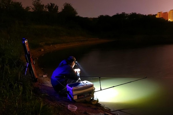 晚上能不能钓罗非鱼，适合将水草多、石头多的地方当作钓位