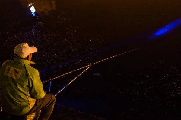 晚上能不能钓罗非鱼，适合将水草多、石头多的地方当作钓位