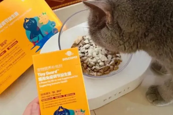 小猫吐血水的原因，可能是感染了猫瘟病毒