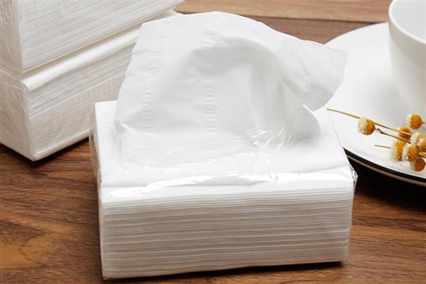 夏天开花的树有哪些，常见的有广玉兰、夹竹桃等