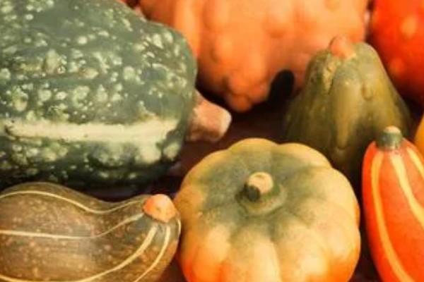 窝瓜可以放冰箱吗,可以放在冰箱冷藏或冷冻