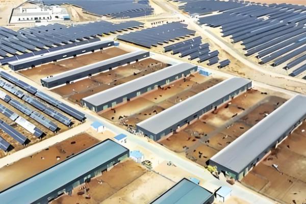 土鸡怎么养殖，对场地消毒后再放苗