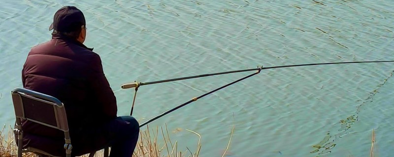 为什么有口不上鱼，警觉的鱼儿会不断试探鱼饵