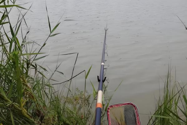 1.2号子线与几号主线一起使用，搭配2.0号主线比较合适