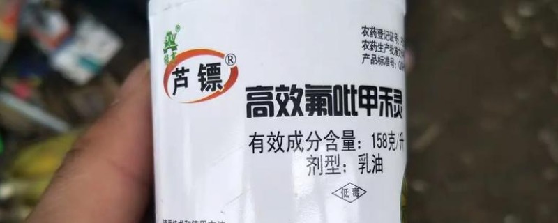 高效氟吡甲禾灵的使用范围，可有效防除芦苇、白茅、狗牙根等
