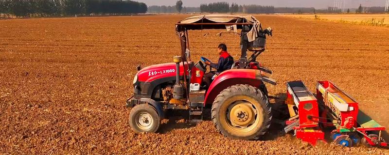 播种小麦要注意什么，播种后一般不用浇水