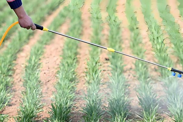 小麦白粉病怎么防治,主要使用的药物是粉锈宁