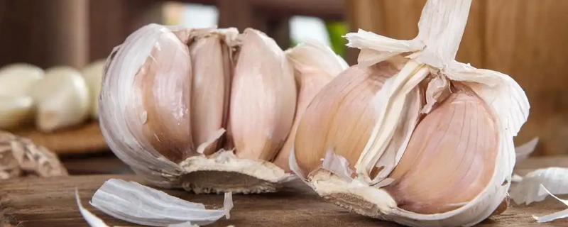 大蒜如何存储，存储之前进行晾晒