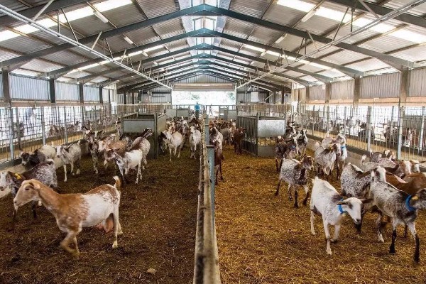 当前农业发展有什么困难,以下三大难题仍待解决