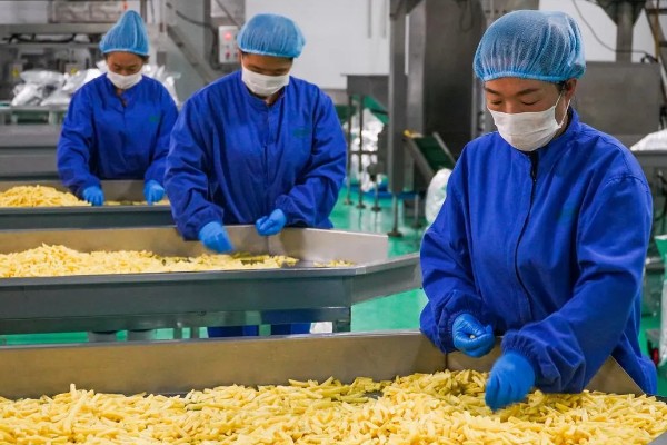 当前农业发展有什么困难,以下三大难题仍待解决