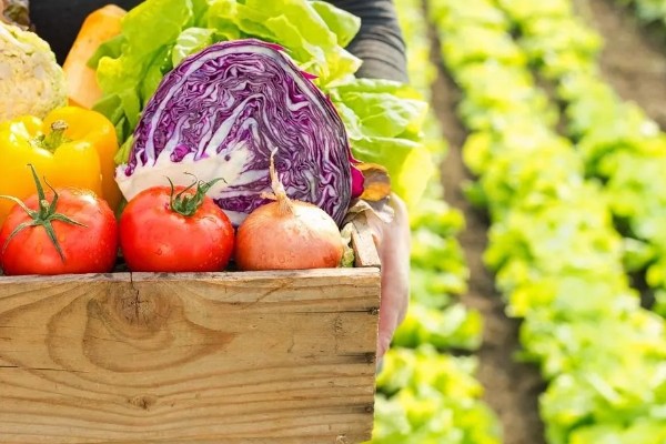 当前农业发展有什么困难,以下三大难题仍待解决