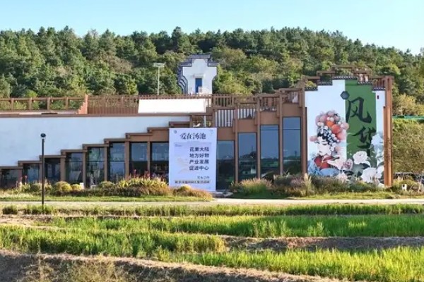 当前农业发展有什么困难,以下三大难题仍待解决