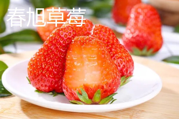 哪些草莓特高产，幸香、章姬、红颜等品种产量很高