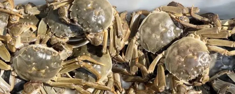 江西南昌的特产，有军山湖大闸蟹、生米藠头等