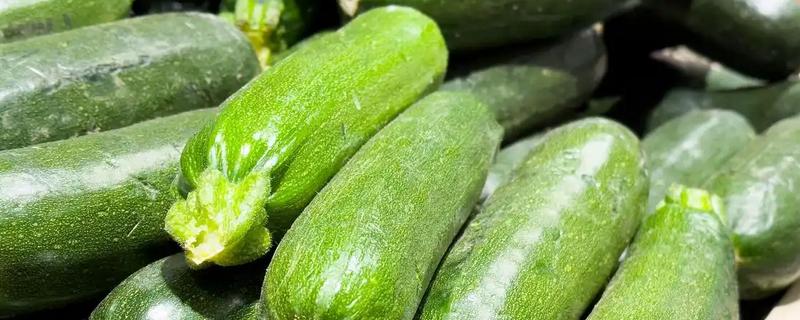 蒲瓜可以保存多久，放入冰箱可以保存3-5天