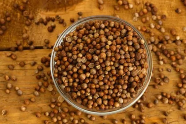 香菜叶斑病怎么防治，播种前用温水浸种消毒