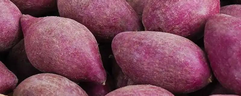 紫薯皮能吃吗，吃紫薯无需撕皮
