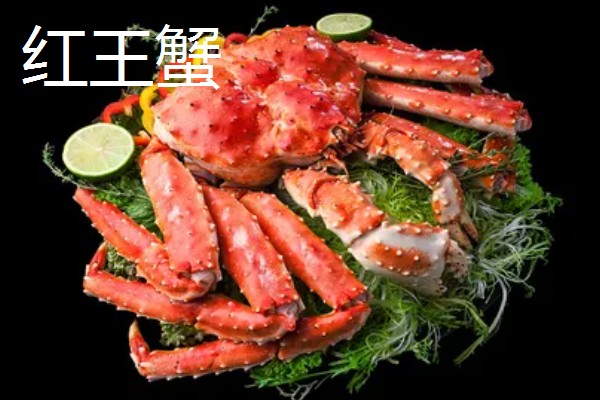 世界上最贵的海鲜，有蓝龙虾、帝王鲑等