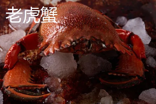 世界上最贵的海鲜，有蓝龙虾、帝王鲑等