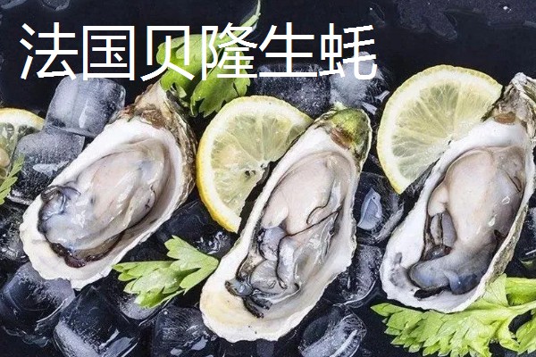 世界上最贵的海鲜，有蓝龙虾、帝王鲑等