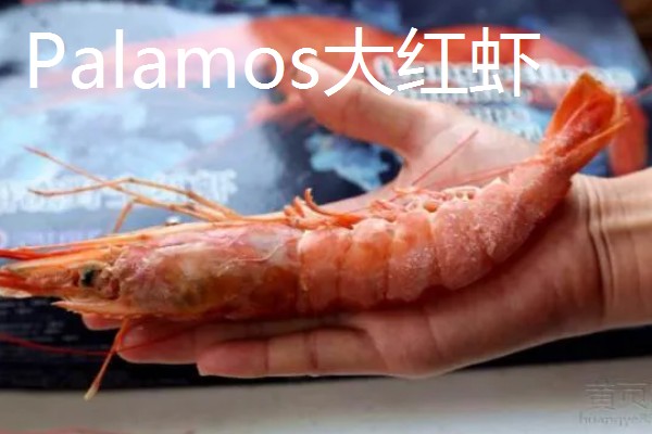 世界上最贵的海鲜，有蓝龙虾、帝王鲑等