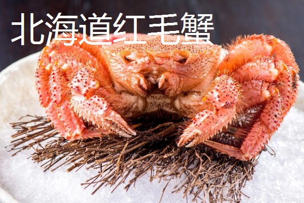 世界上最贵的海鲜，有蓝龙虾、帝王鲑等