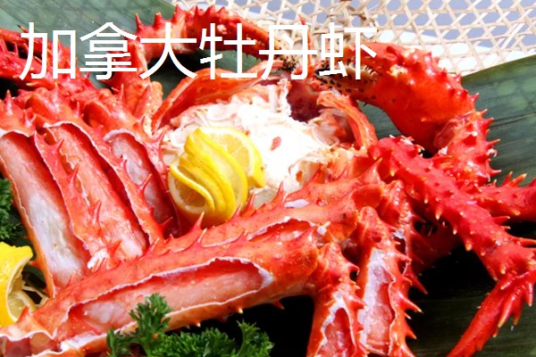 世界上最贵的海鲜，有蓝龙虾、帝王鲑等