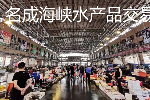 世界上最贵的海鲜，有蓝龙虾、帝王鲑等