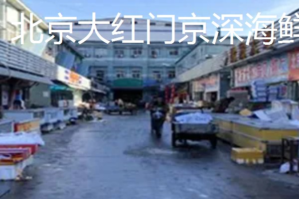 世界上最贵的海鲜，有蓝龙虾、帝王鲑等