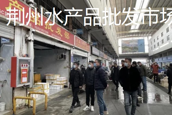 世界上最贵的海鲜，有蓝龙虾、帝王鲑等