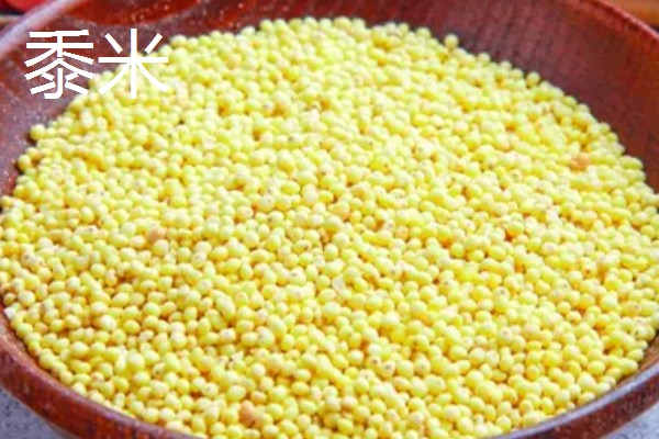 农作物五谷是什么,是黍、稷、麦、菽、稻