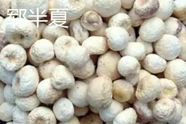 山东菏泽的特产，有富贵坊牡丹糕、沙土瓜子等