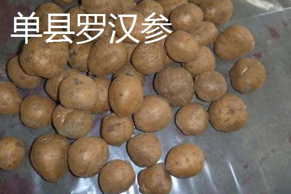 山东菏泽的特产，有富贵坊牡丹糕、沙土瓜子等