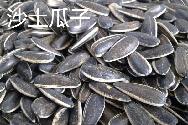 山东菏泽的特产，有富贵坊牡丹糕、沙土瓜子等