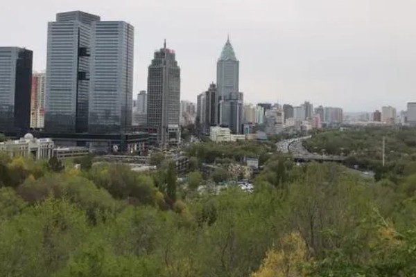 乌鲁木齐的市花市树是什么，分别是玫瑰花和大榆树