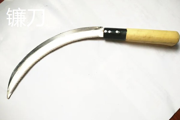 东北种地在几月份开始，4月份底至5月份初开始春耕