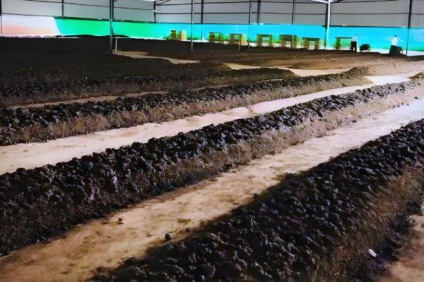 蚯蚓有哪些采集方式,可采用灌水捕捉法、堆料诱捕法等