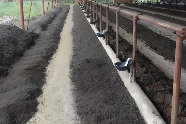 蚯蚓有哪些采集方式,可采用灌水捕捉法、堆料诱捕法等