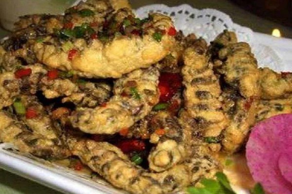 爬沙虫的价格，通常都是200-280元一斤