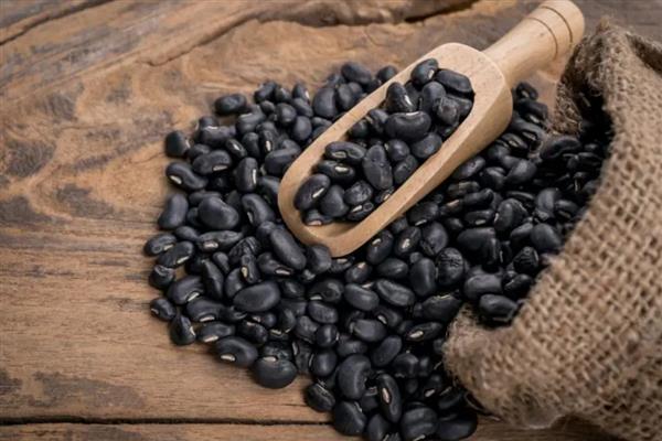 寿宁的特产，有高山乌龙茶、寿宁御豆等