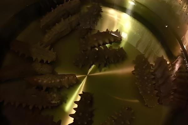 长岛海参的产地，产自山东烟台