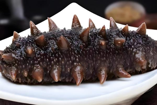 长岛海参的产地，产自山东烟台