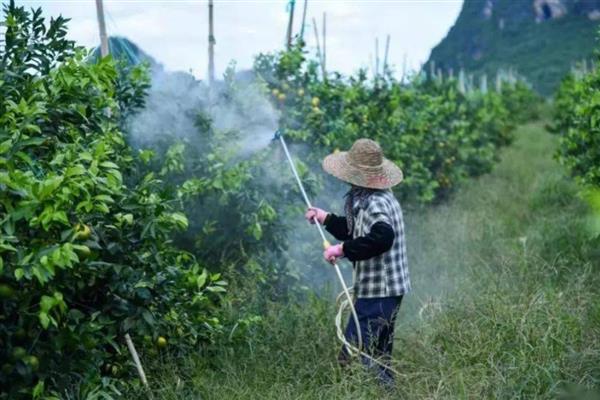 毒死蜱的相关知识，属中毒农药